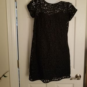 Dress Navy Blue Lace Loft 6 Ann Taylor